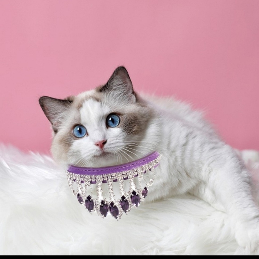 Purple rhinestone bling pet collar